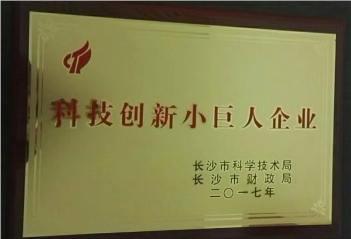 九游在线(中国)智能荣获“科技创新小巨人企业”称号